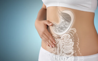 La microbiota intestinal: el ‘órgano oculto’ que cuida tu salud